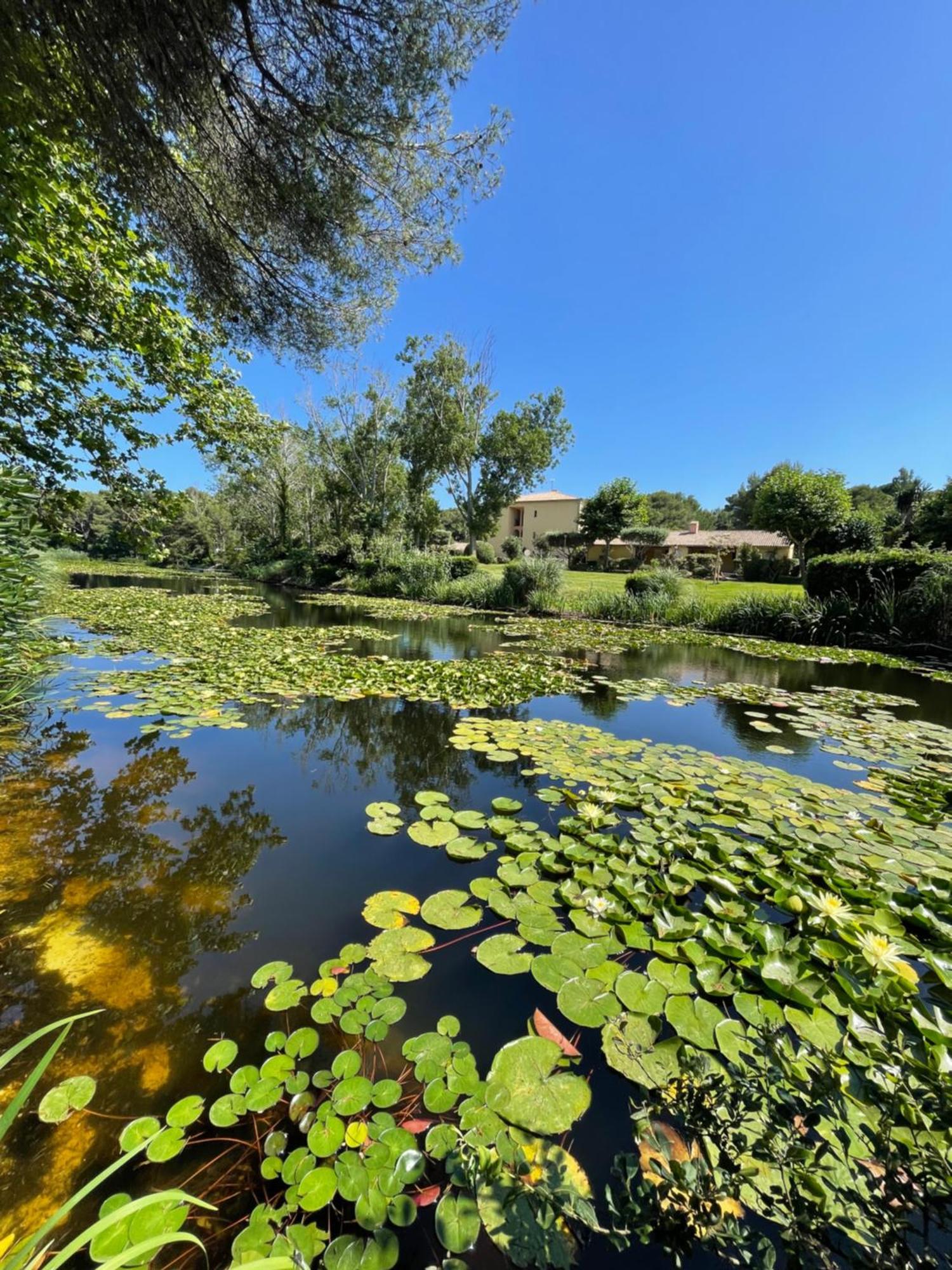 Le Rayon Vert Six-Fours-les-Plages Extérieur photo