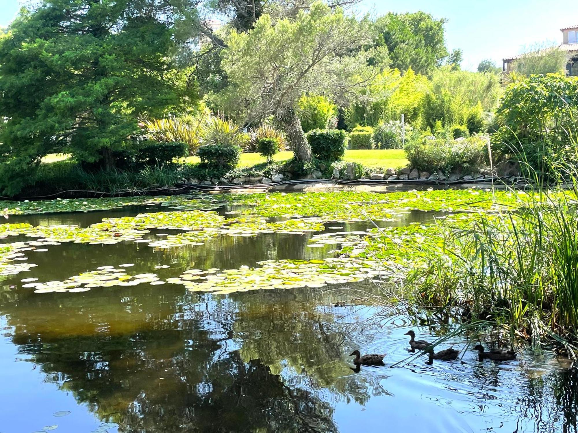 Le Rayon Vert Six-Fours-les-Plages Extérieur photo